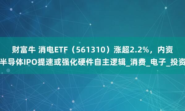 财富牛 消电ETF（561310）涨超2.2%，内资半导体IPO提速或强化硬件自主逻辑_消费_电子_投资