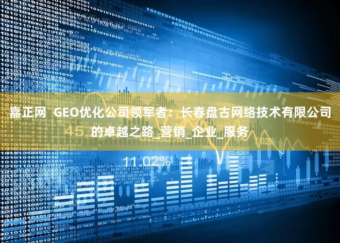 嘉正网  GEO优化公司领军者：长春盘古网络技术有限公司的卓越之路_营销_企业_服务