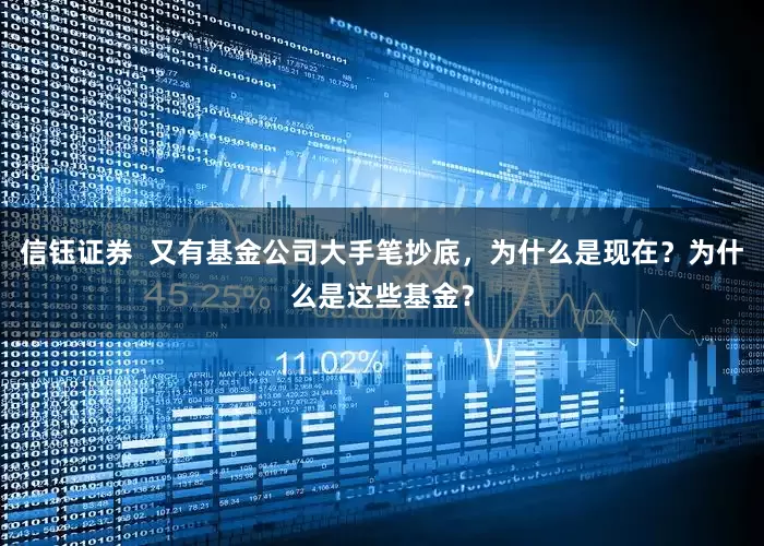 信钰证券  又有基金公司大手笔抄底，为什么是现在？为什么是这些基金？