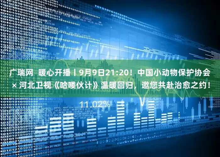 广瑞网  暖心开播丨9月9日21:20！中国小动物保护协会 × 河北卫视《哈喽伙计》温暖回归，邀您共赴治愈之约！